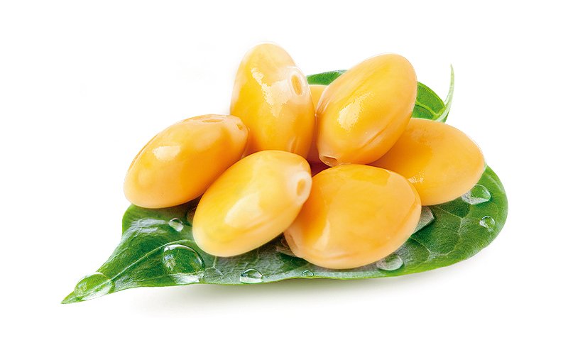 Qué es el altramuz saladitos Qué es el altramuz saladitos