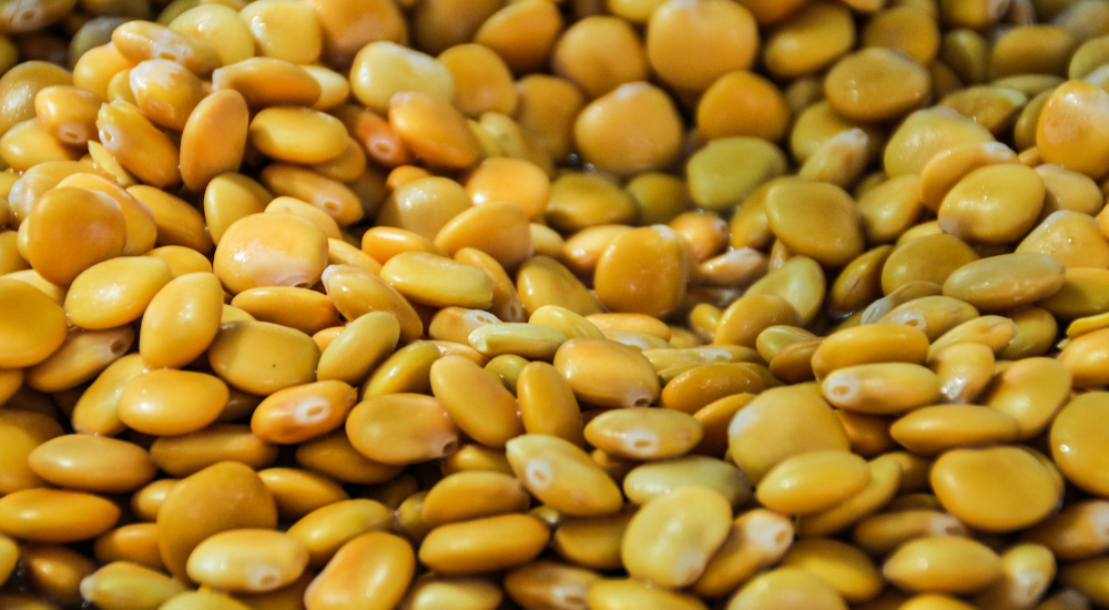 altramuces_snack_verano_saladitos